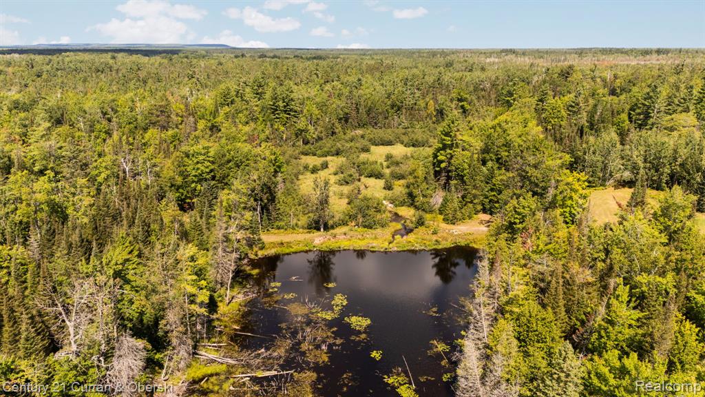 3265 Roost Road Onaway, MI 49765 - Photo 1 of 51