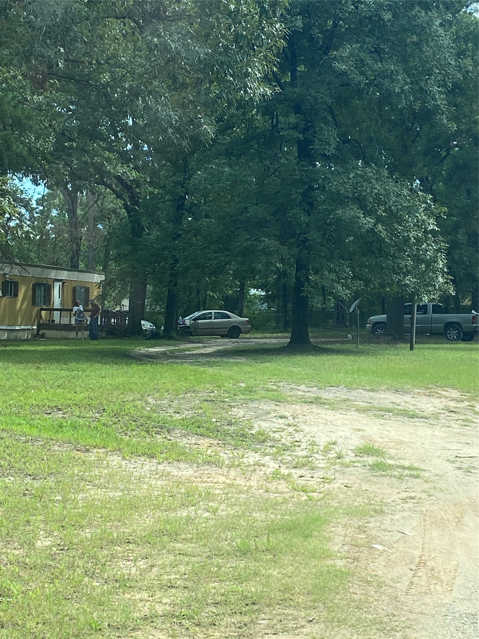 137 Camp Road Trinity, TX 75862 - Photo 5 of 12 a view of a yard with a house and large trees