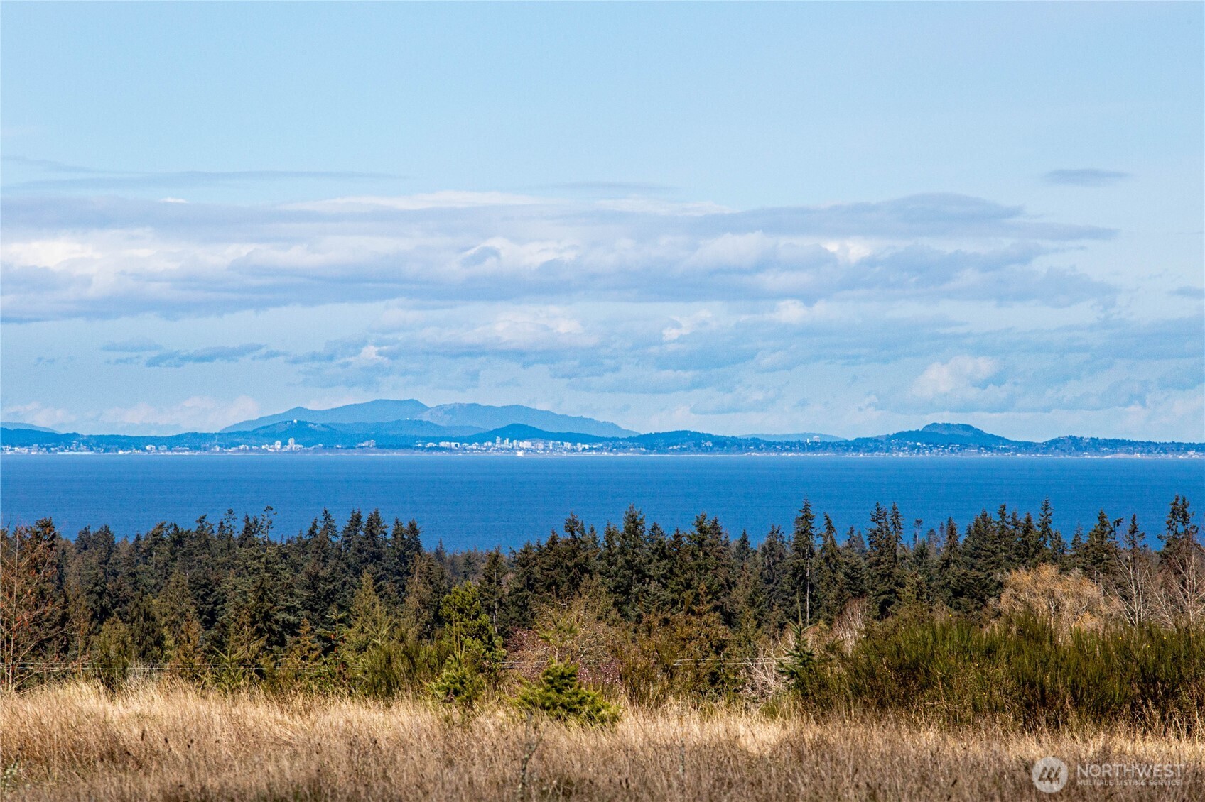 341 Sherburne Road Sequim, WA 98382 - Photo 6 of 30 Gallery Image 6