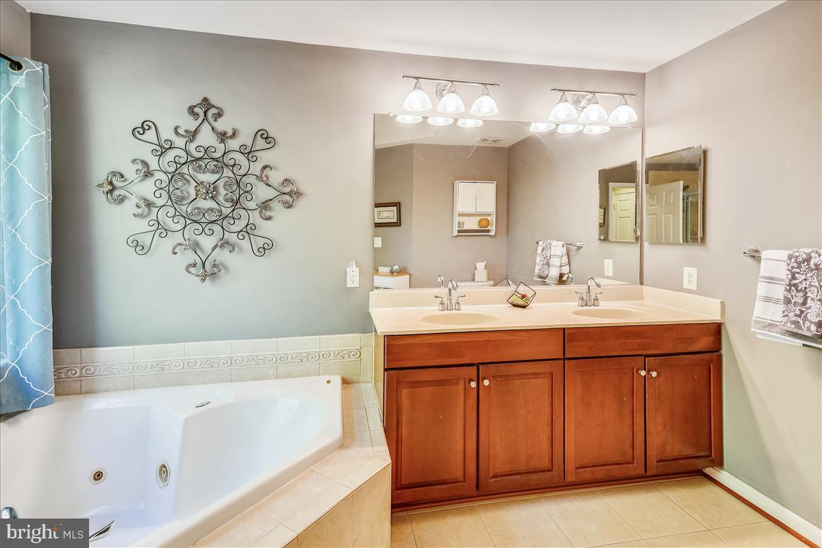 669 Hunters Road Culpeper, VA 22701 - Photo 18 of 30 Owners Bath with soaking tub and two sinks