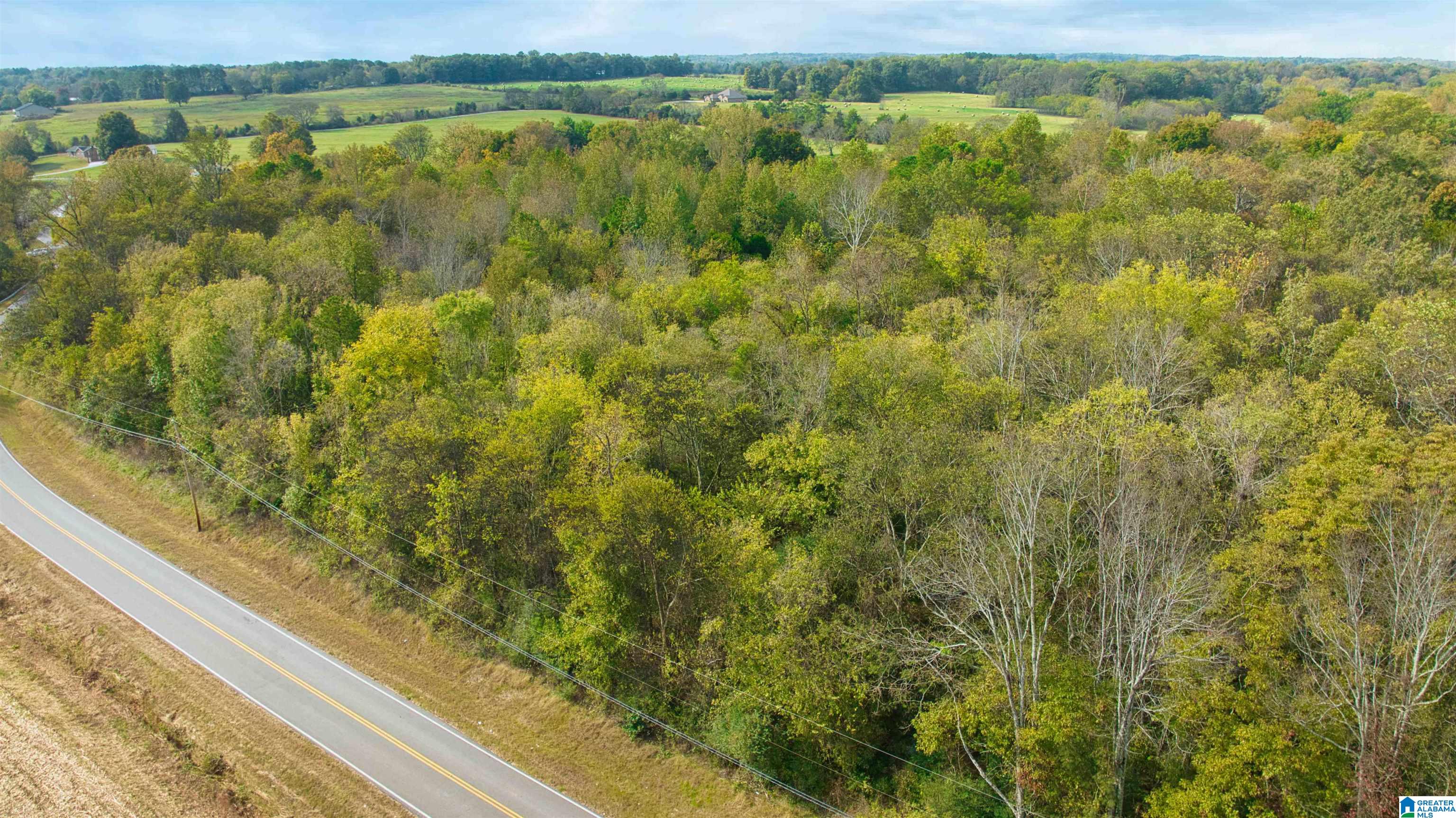 0 South Love Branch Road Toney, AL 35773 - Photo 26 of 26