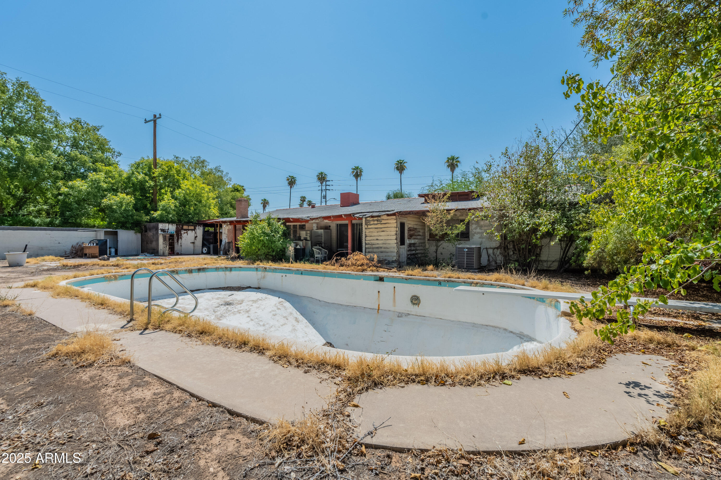 Backyard View