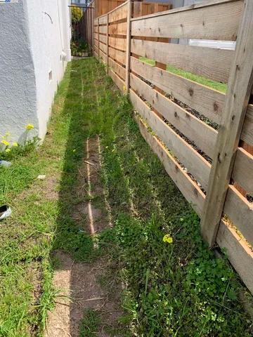 a backyard of a building