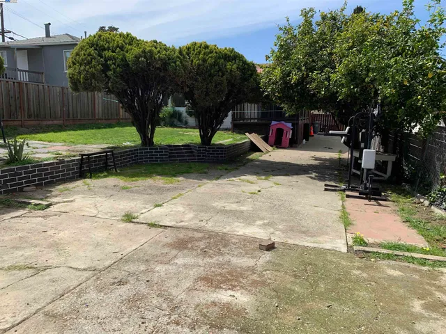 a view of a backyard with plants and large trees