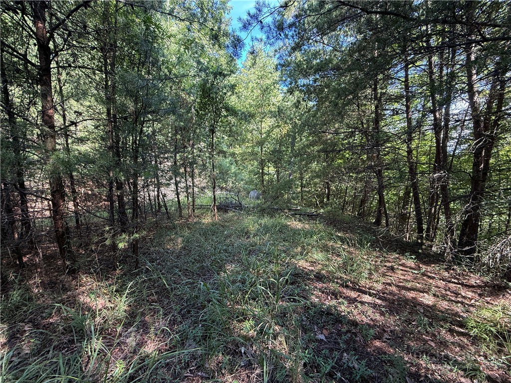 Lot 24 Wolf Pen Road Purlear, NC 28665 - Photo 14 of 42 Gallery Image 14