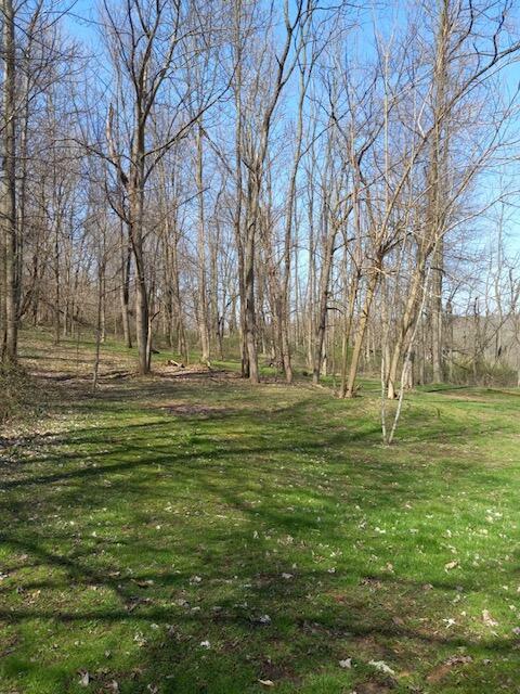 16291 Rinehart Road Mount Vernon, OH 43050 - Photo 4 of 28 rinehart woods lot