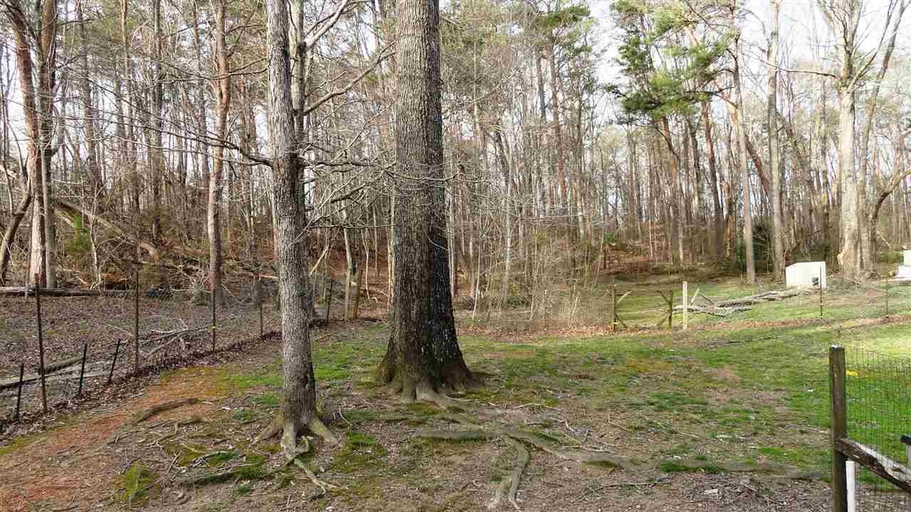 298 Wetmore Springs Road Delano, TN 37325 - Photo 23 of 31 Gallery Image 23