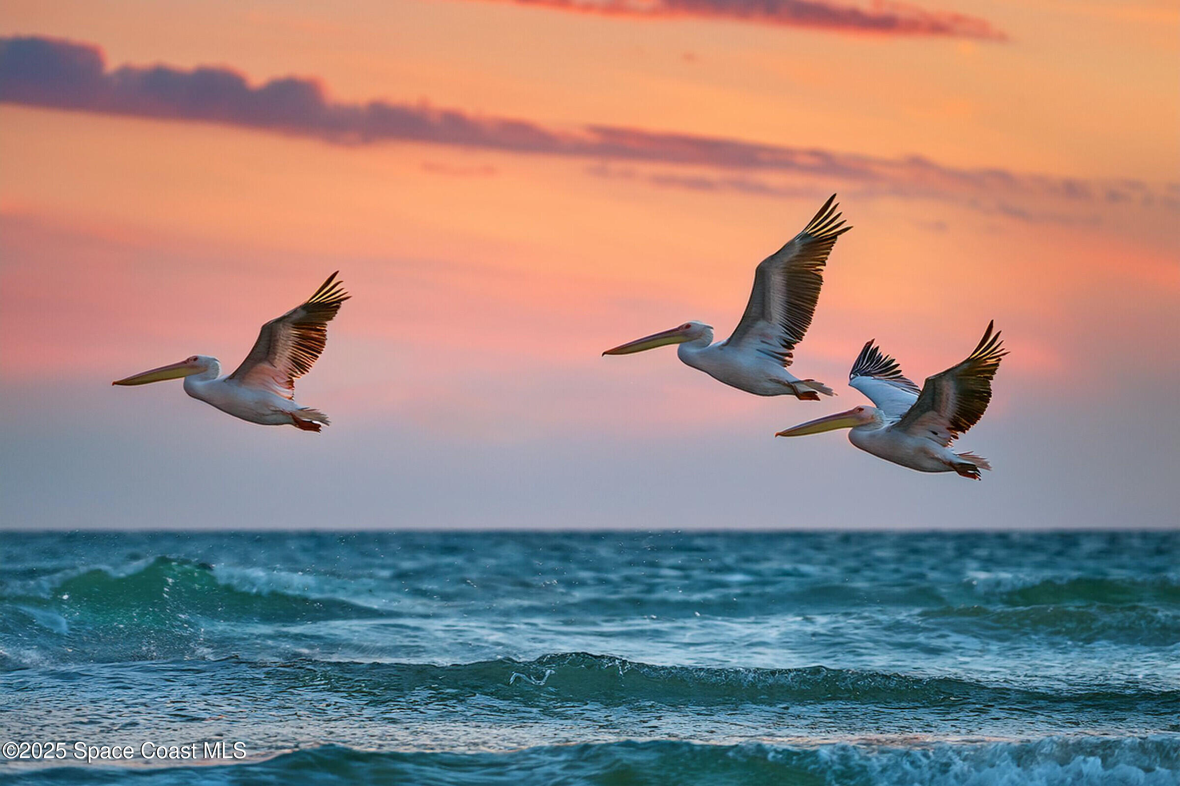 3060 North Atlantic Ave Corner, Unit 301 Cocoa Beach, FL 32931 - Photo 13 of 60 Daily Flybys