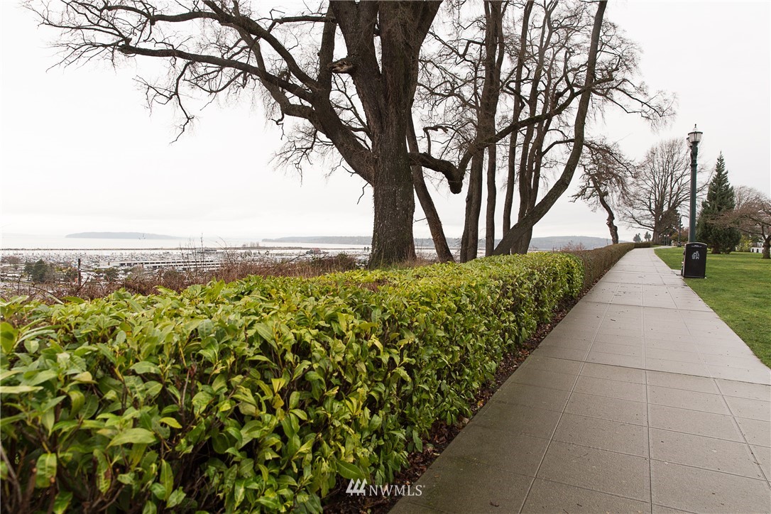 1419 18th Street Everett, WA 98201 - Photo 21 of 21 a view of a garden