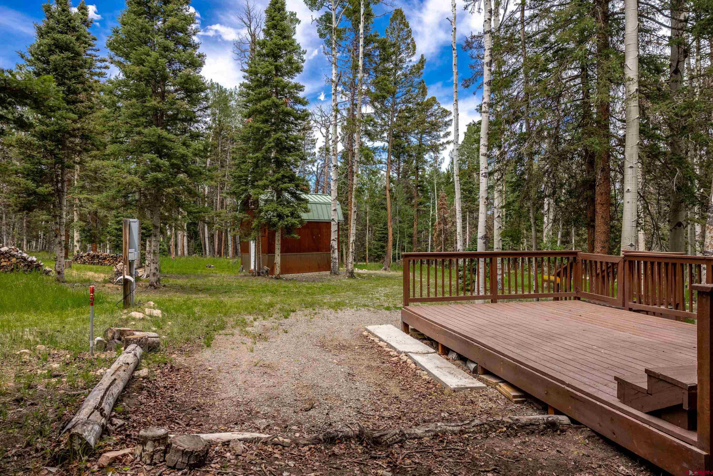 601 Balsam Road Cimarron, CO 81220 - Photo 12 of 43
