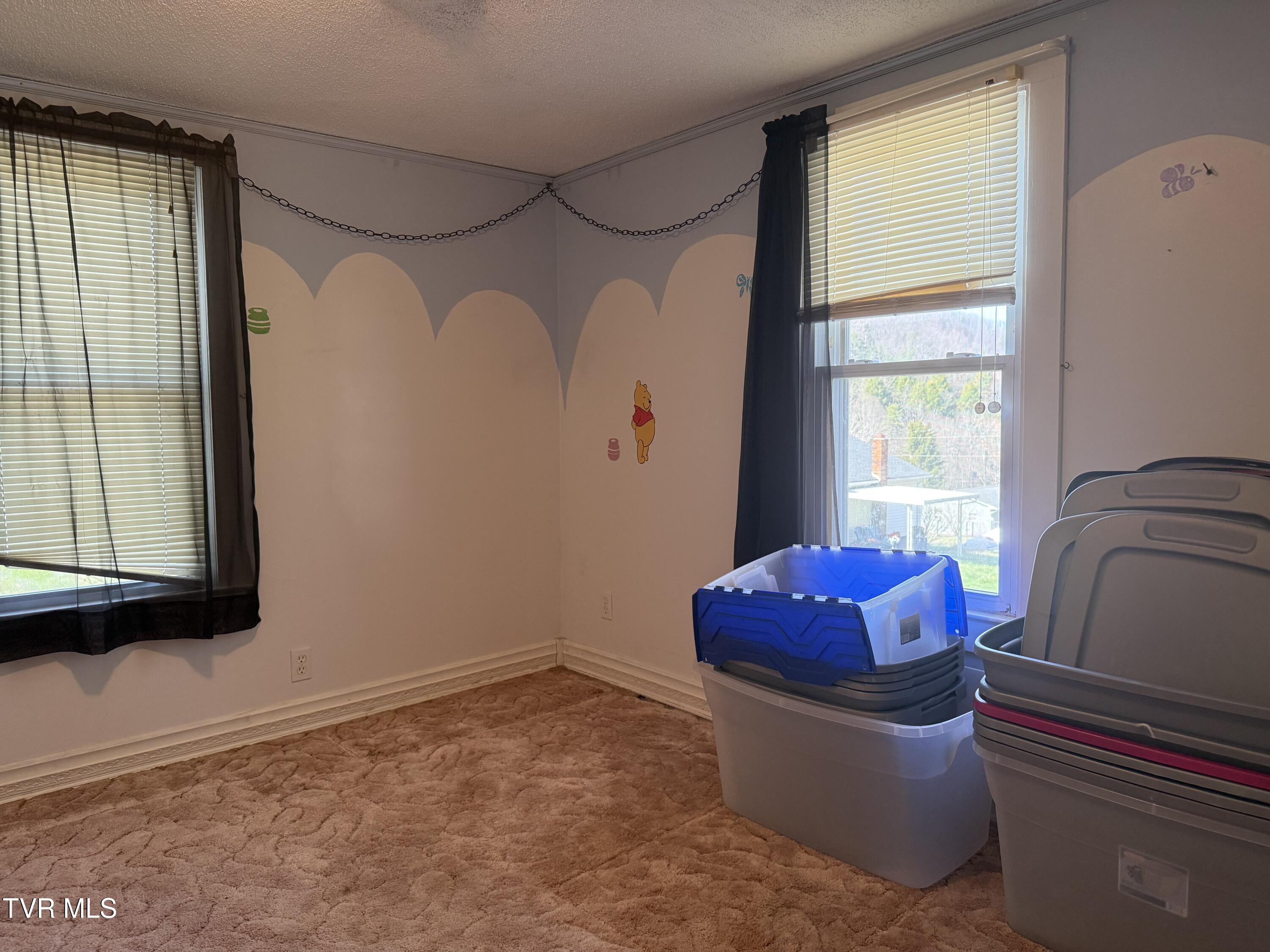 664 Currin Valley Road Marion, VA 24354 - Photo 16 of 44 IMG_3075