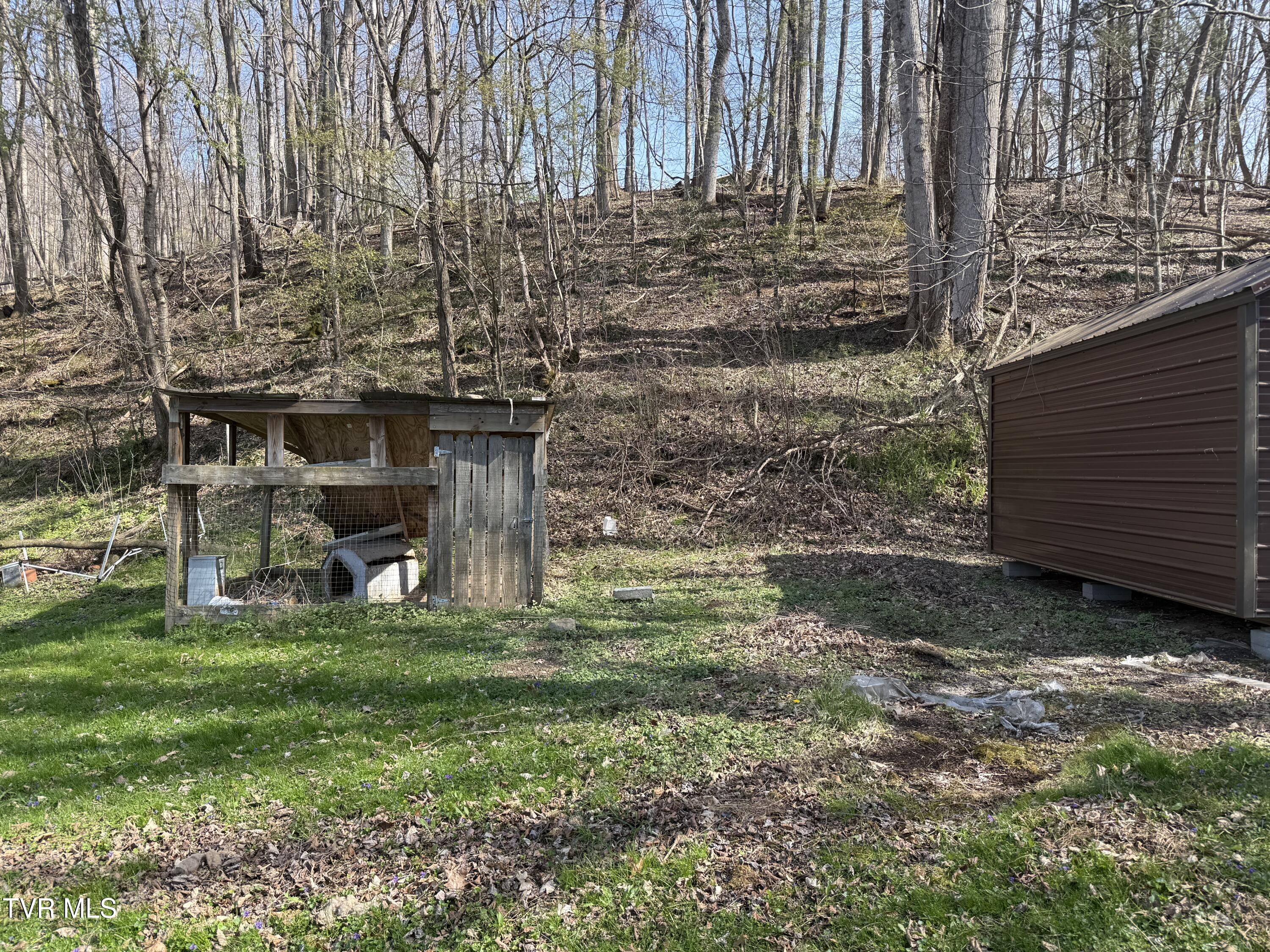 664 Currin Valley Road Marion, VA 24354 - Photo 9 of 44 IMG_3060