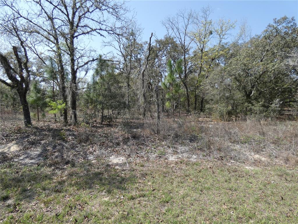11 Southwest Paradise Heights Road Dunnellon, FL 34431 - Photo 1 of 1
