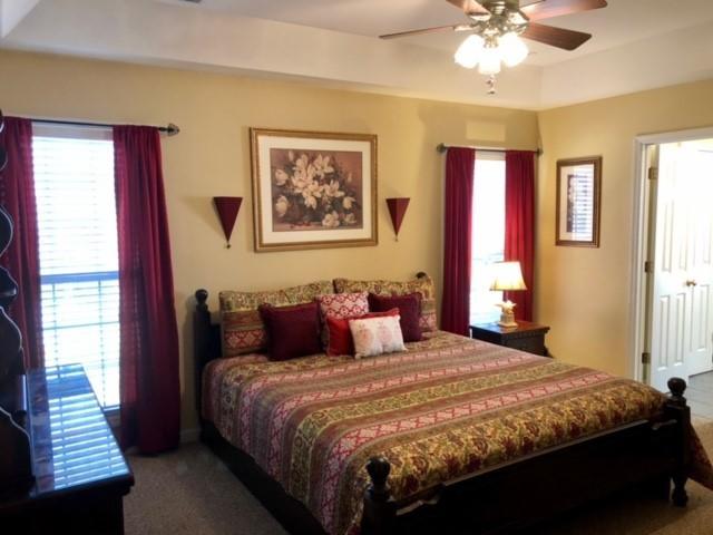 135 Travis Hill Road Moncks Corner, SC 29461 - Photo 11 of 29 Tray Ceiling