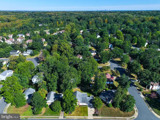 a view of a bunch of flowers