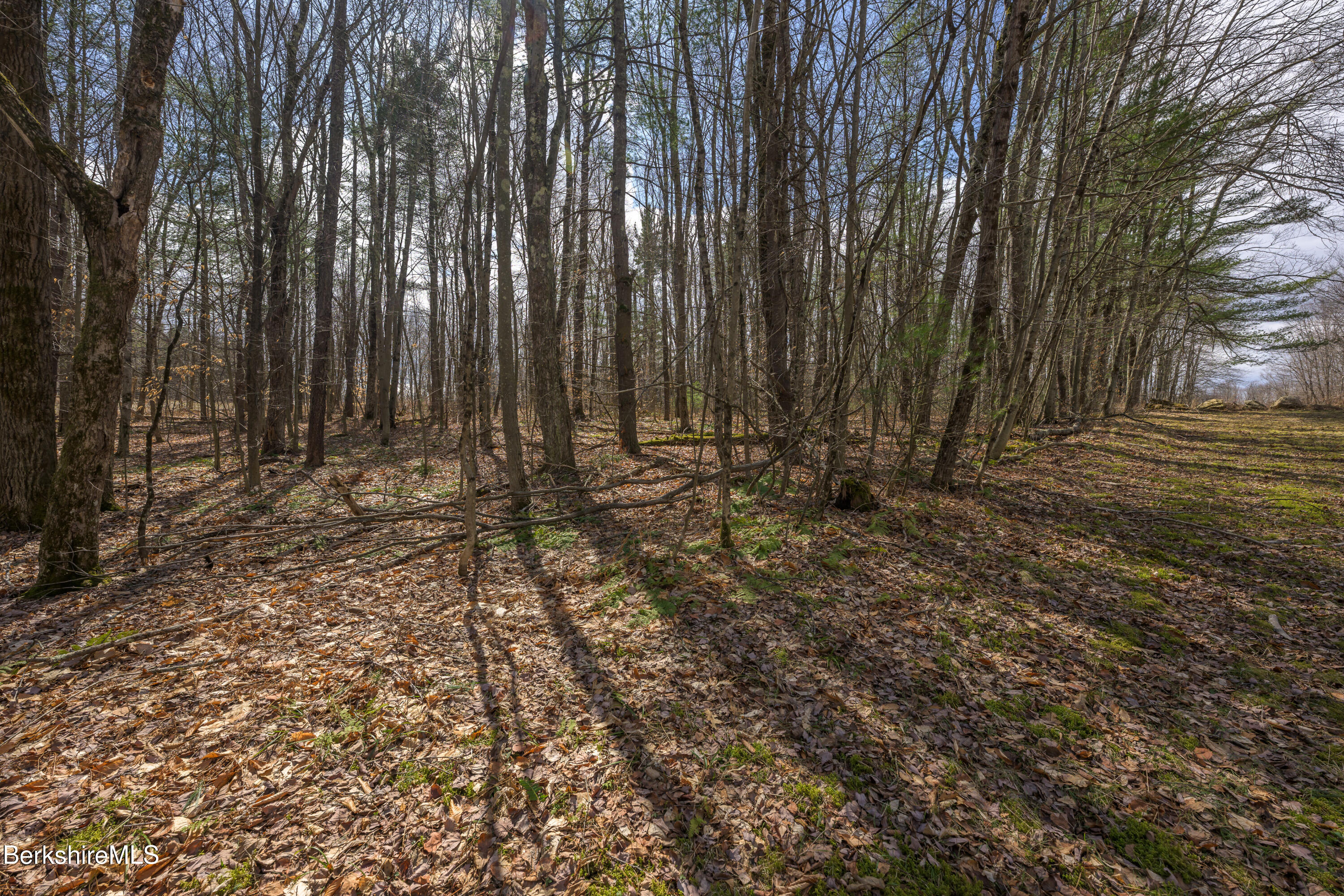 0 Swamp Road Pittsfield, MA 01201 - Photo 15 of 30 Print - 00 Swamp Rd Richmond MA 01254-74