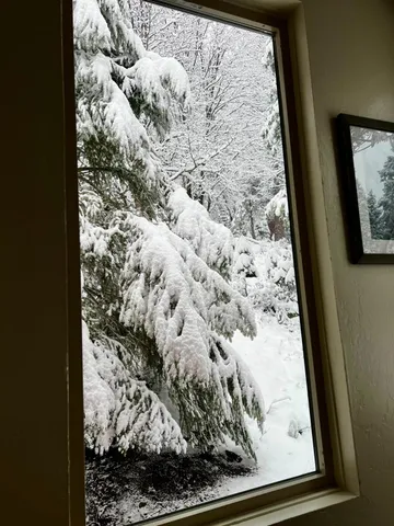 $495,000 | 1153 Silver Tip Lane, Fish Camp, CA 93623