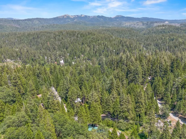 a view of a lush green hillside and a mountain