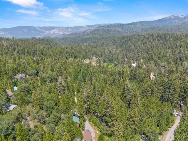 a view of a city with lush green forest