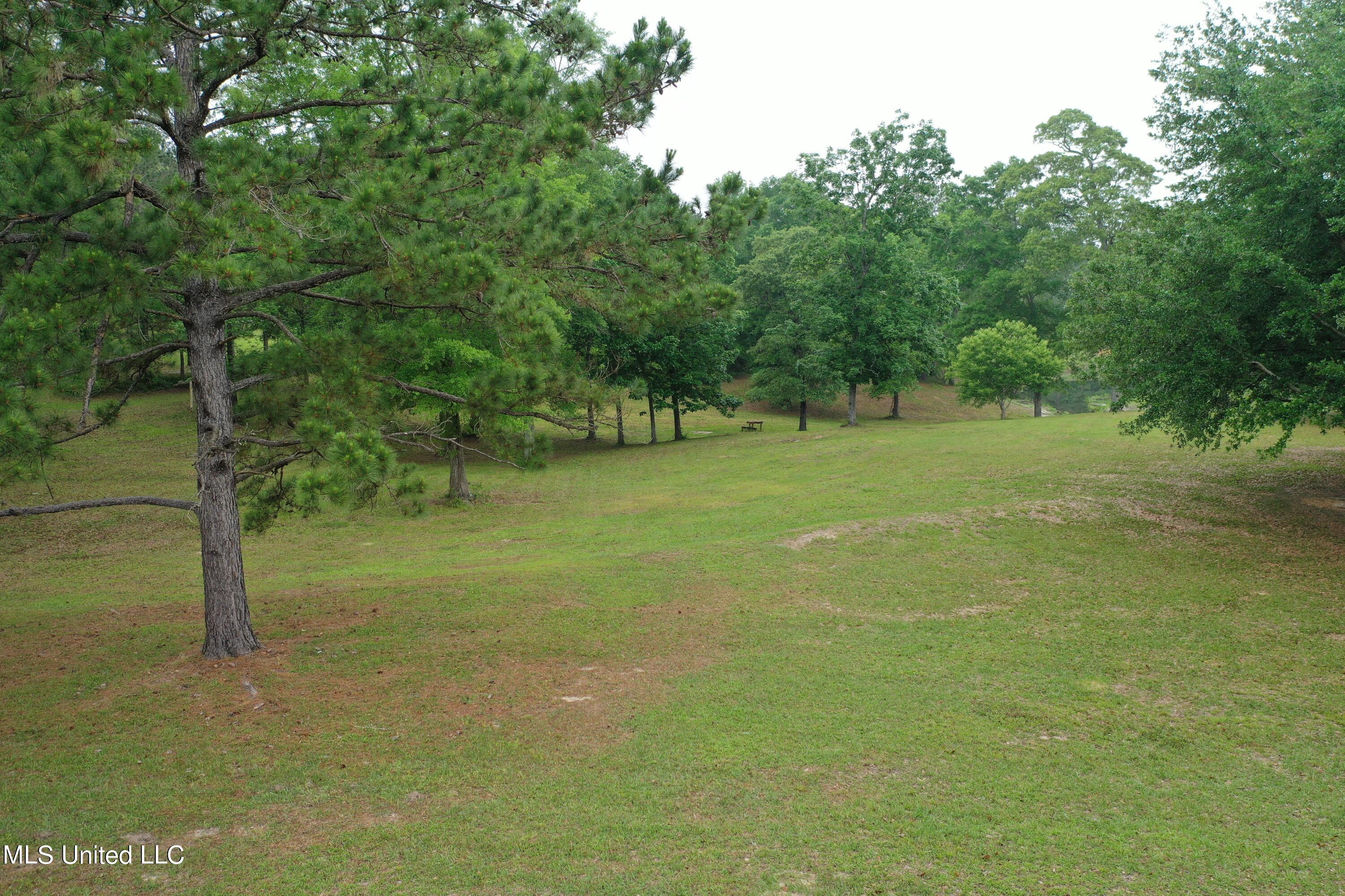 38 Minnie Penton Road Carriere, MS 39426 - Photo 42 of 45 42 - Yard