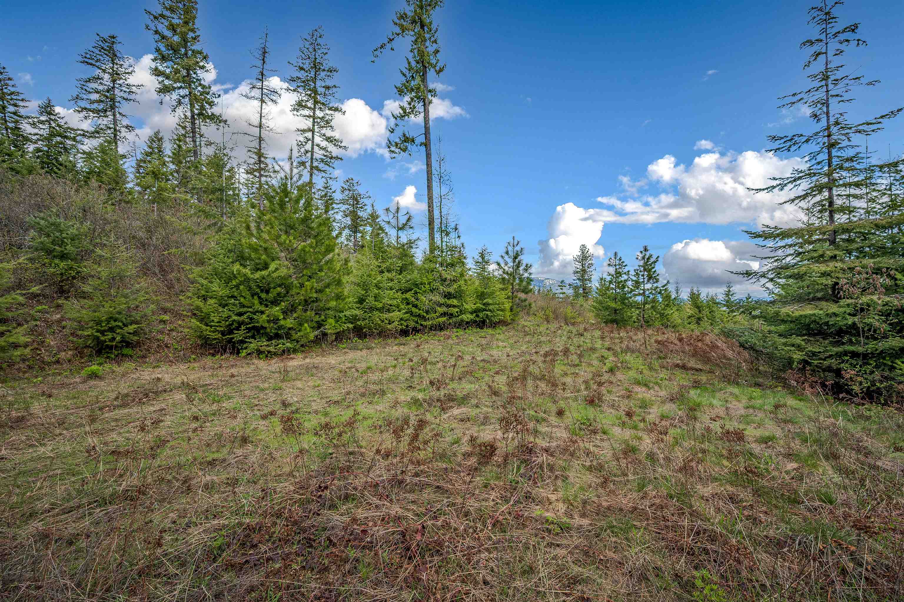 1025 Mountain Ridge Drive Sagle, ID 83860 - Photo 5 of 8
