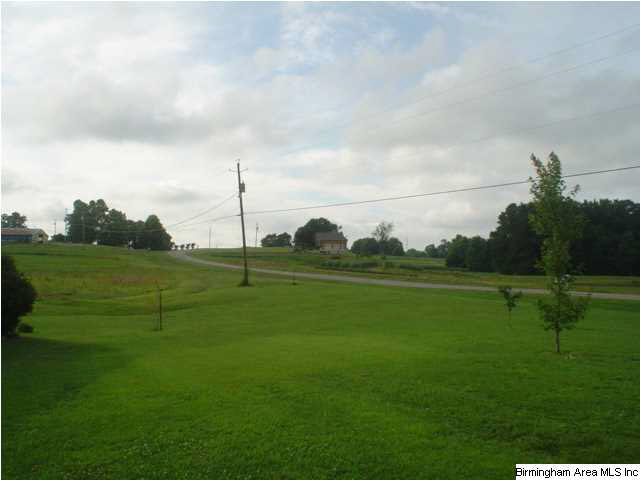 9977 Highway 24 Oneonta, AL 35121 - Photo 3 of 11