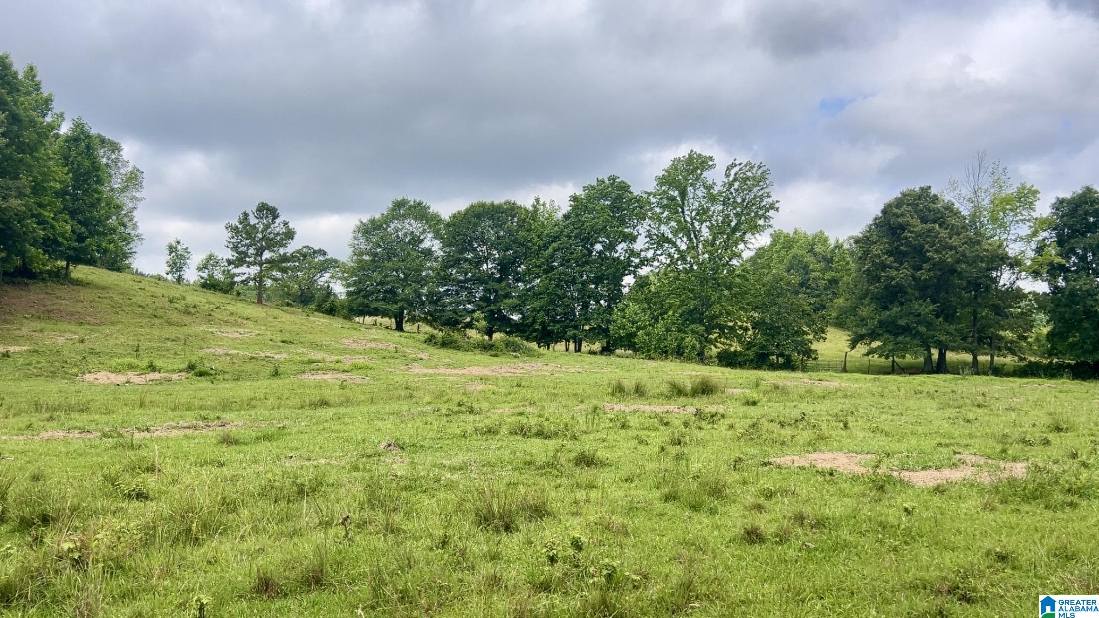 988 Mines Road, Unit 100 Ashland, AL 36251 - Photo 8 of 17