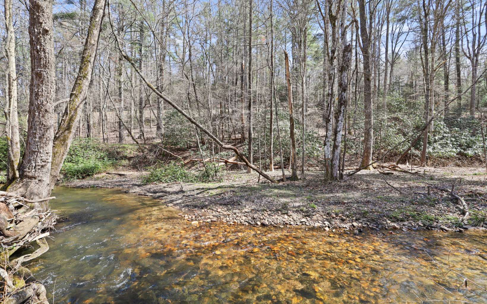 Aska Road Blue Ridge, GA 30513 - Photo 25 of 29 Additional View