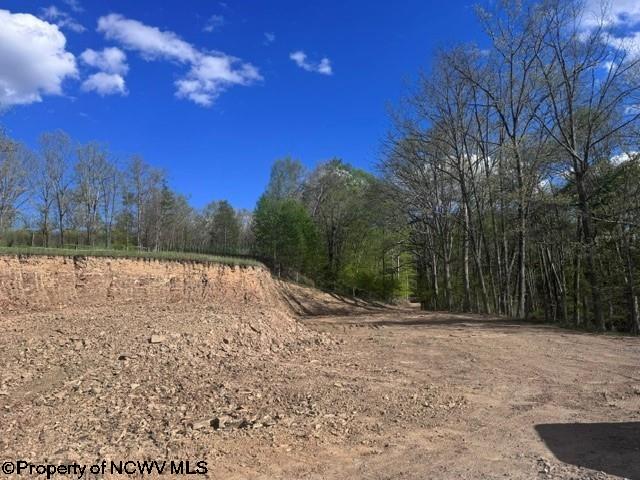 Tbd Shaffers Run Road Mill Creek, WV 26280 - Photo 17 of 43 Gallery Image 17