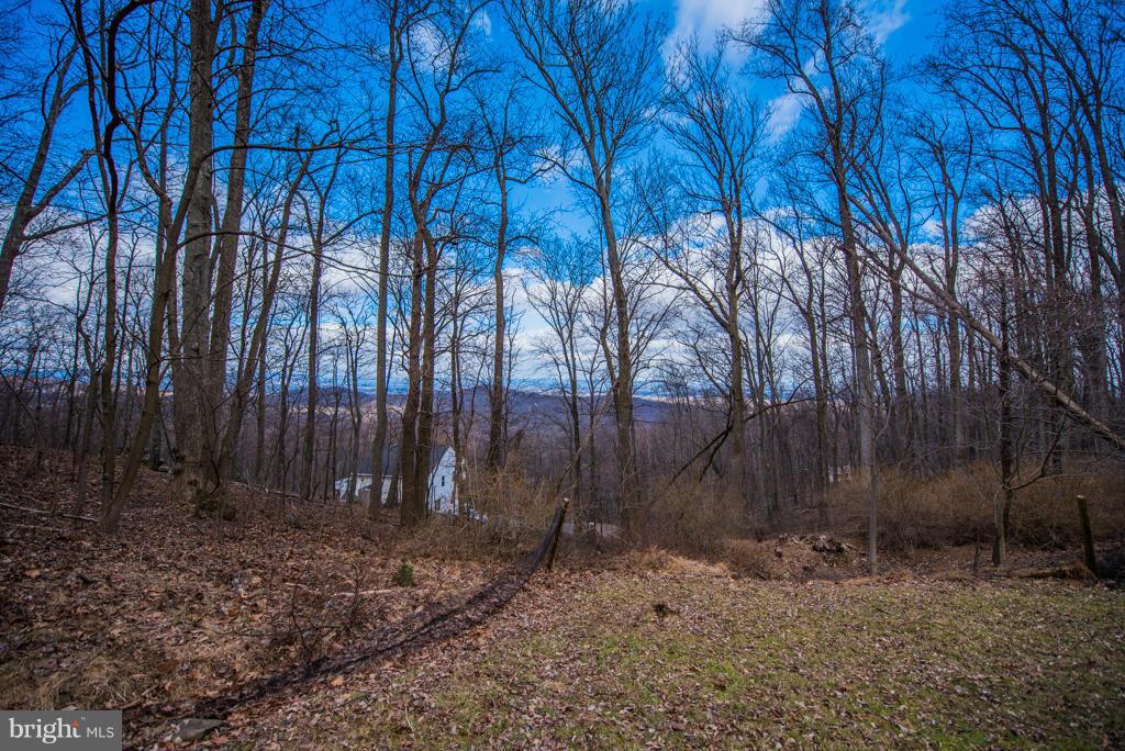 3 Blue Sky Road Linden, VA 22642 - Photo 8 of 30 a backyard of a house with lots of green space
