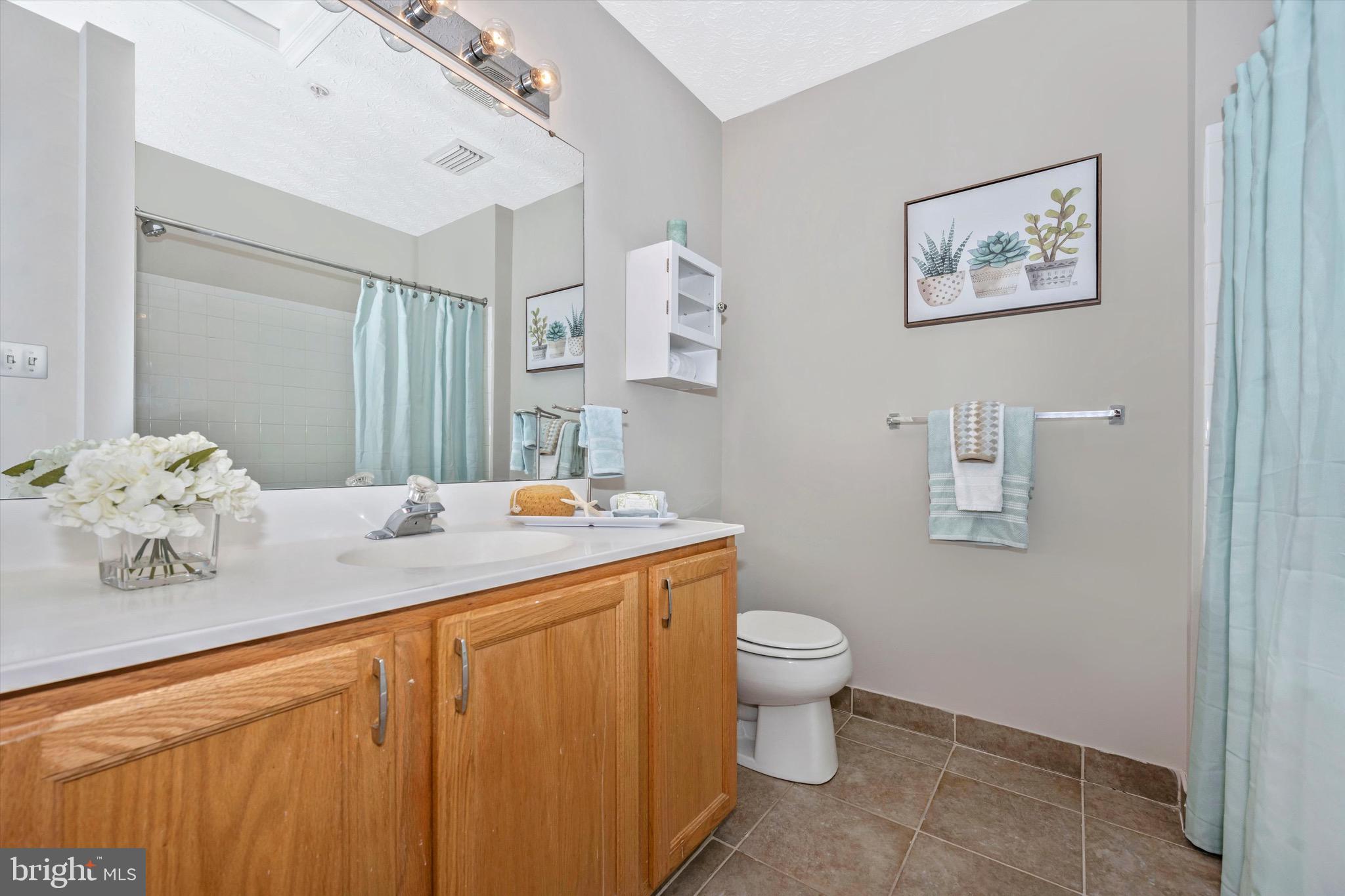 2604 Summers Ridge Drive Odenton, MD 21113 - Photo 34 of 52 Hall bath with fresh paint.