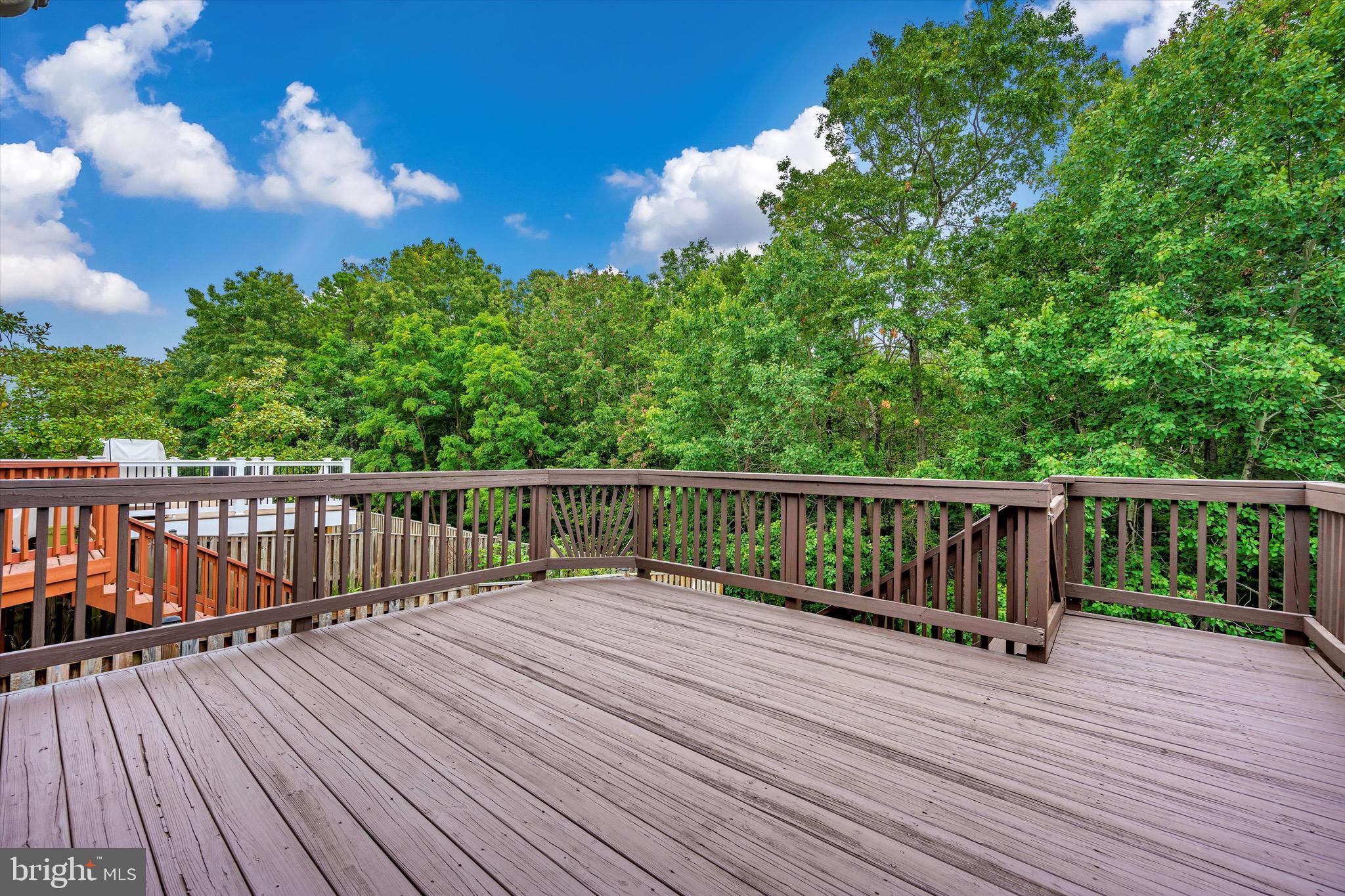 2604 Summers Ridge Drive Odenton, MD 21113 - Photo 46 of 52 Backs to green space.