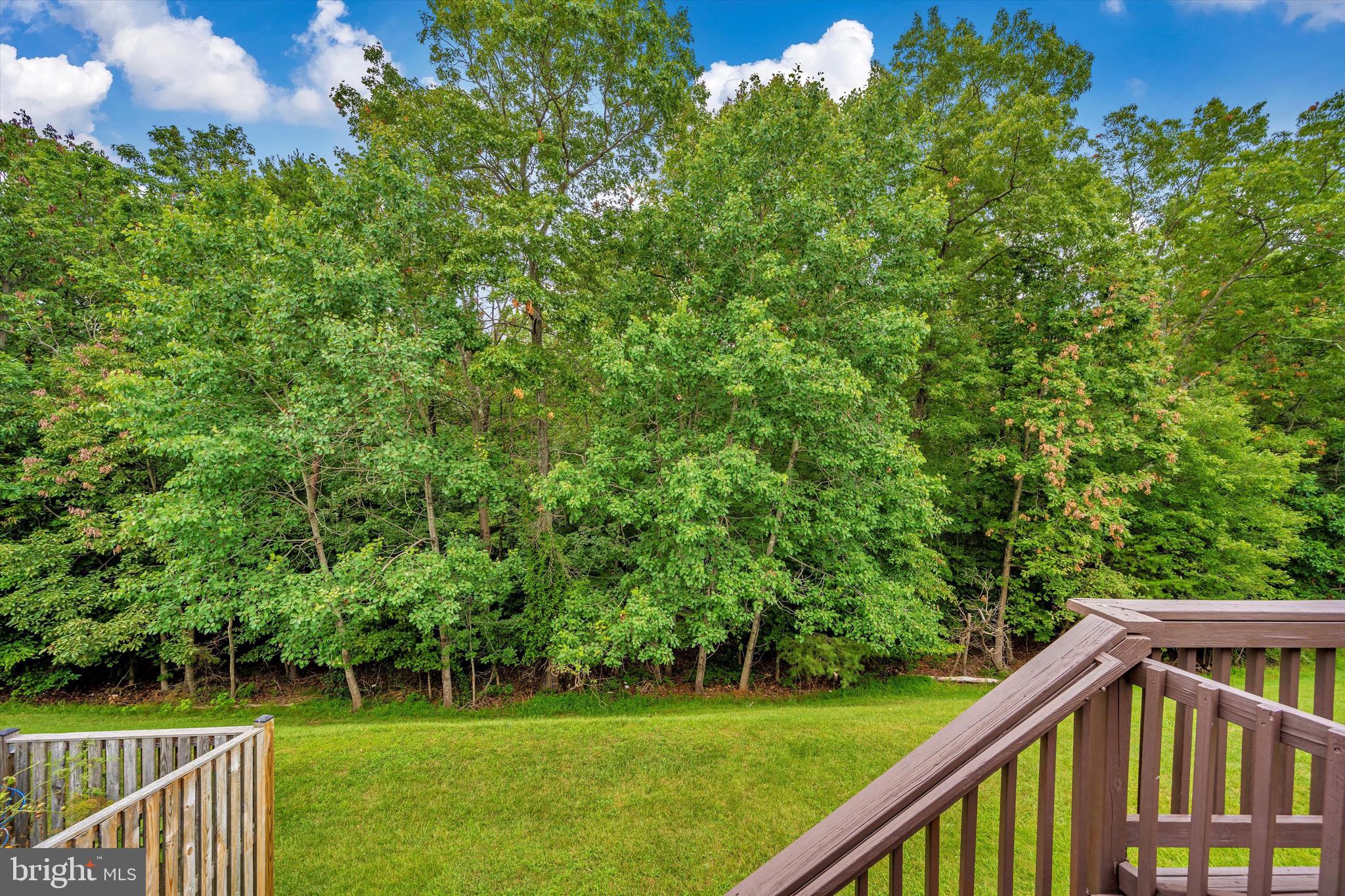 2604 Summers Ridge Drive Odenton, MD 21113 - Photo 47 of 52 Imagine the fall colors!!