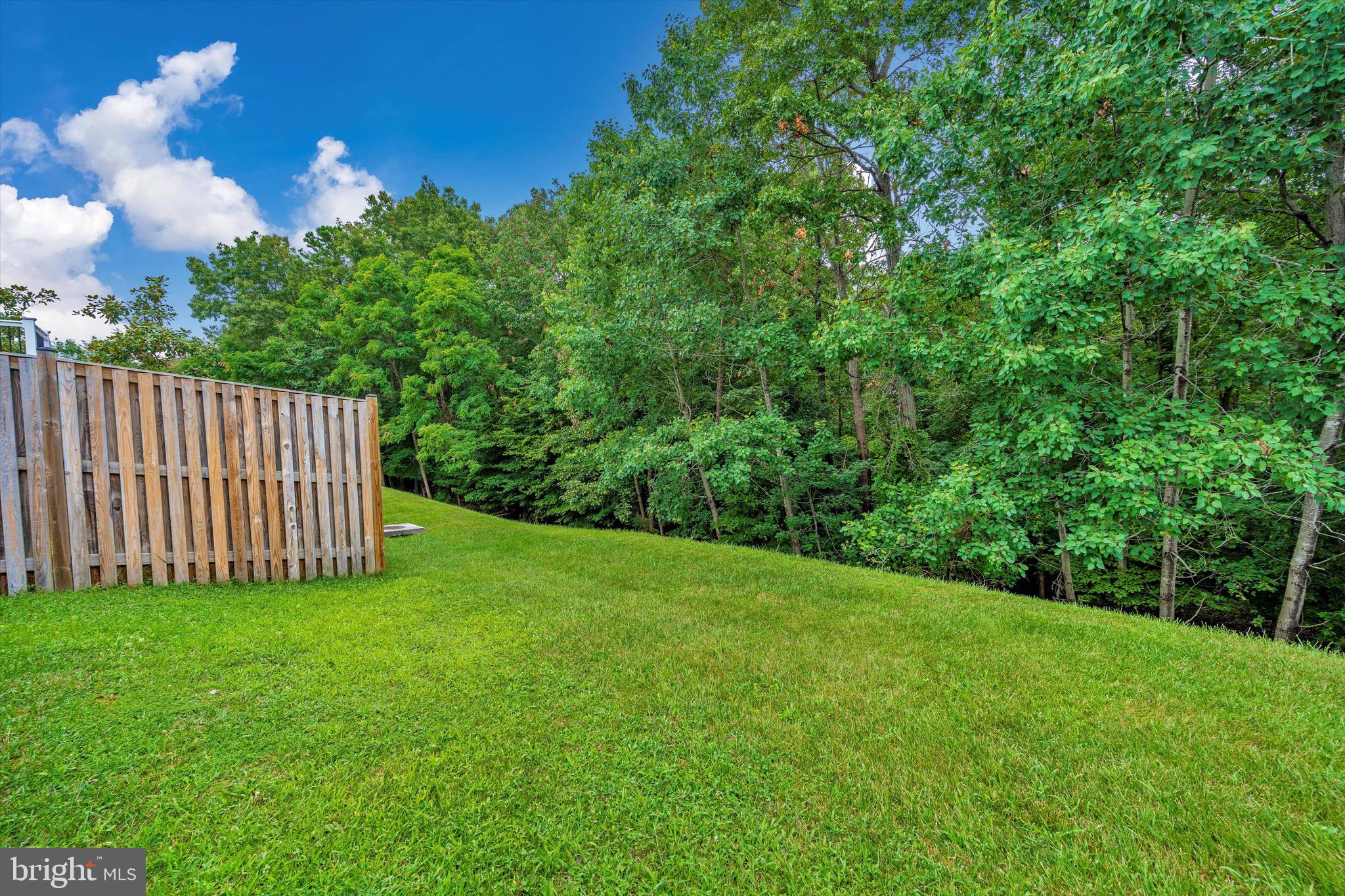 2604 Summers Ridge Drive Odenton, MD 21113 - Photo 51 of 52 Privacy and green space out back.