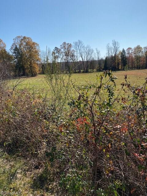 0 Valley Mine Road Lexington, NC 27292 - Photo 3 of 5 Gallery Image 3