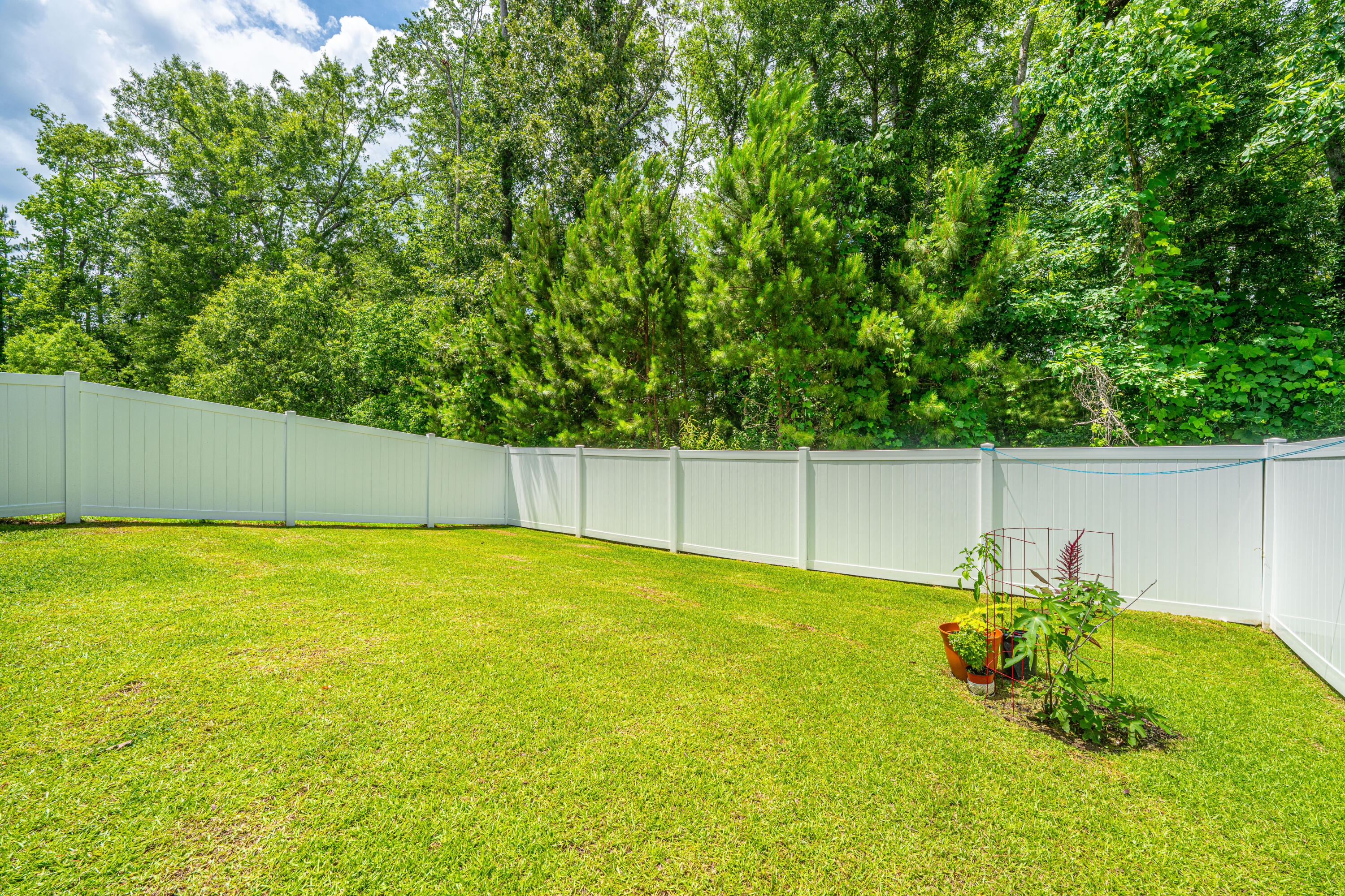 124 Bright Meadow Road Summerville, SC 29483 - Photo 37 of 37 Backyard