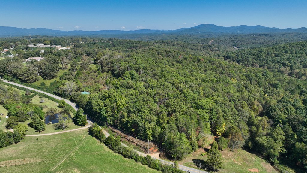 Lot 1-2 Timberlake Estates Blue Ridge, GA 30513 - Photo 16 of 20 Gallery Image 16