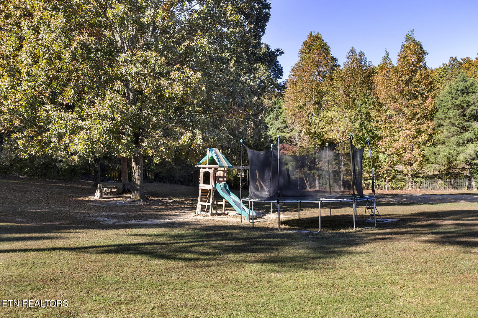 1061 Sneed Road Decatur, TN 37322 - Photo 40 of 46 40_SneedRoad_1061_FirePit-PlayArea
