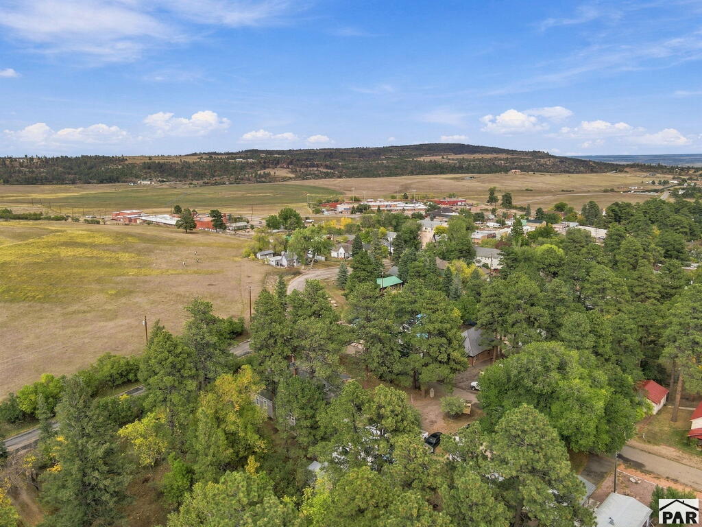 6037 Columbine Street Rye, CO 81069 - Photo 88 of 99 Gallery Image 88