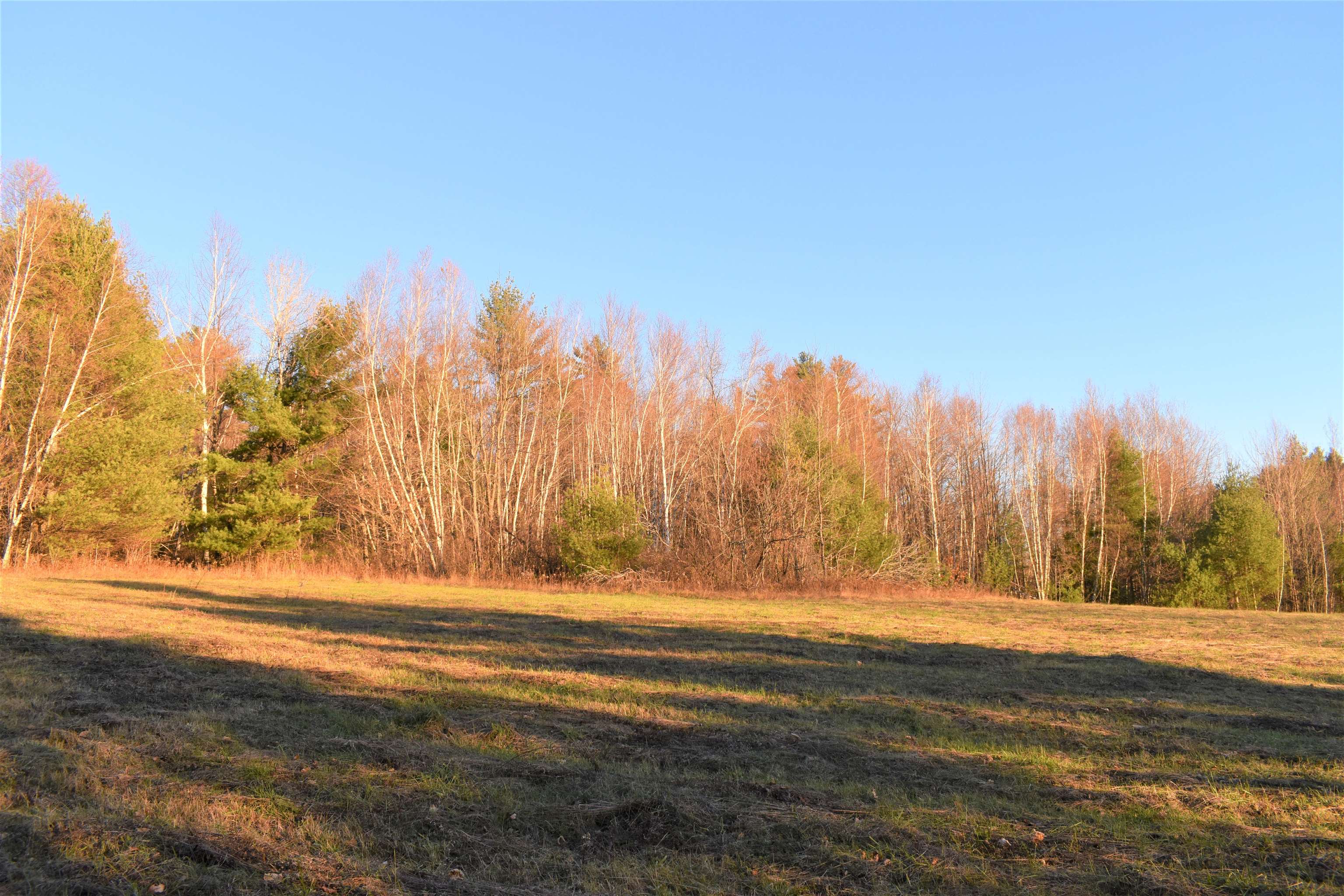 0 North Road, Unit LOT #2 & #3 Bethel, VT 05032 - Photo 8 of 12