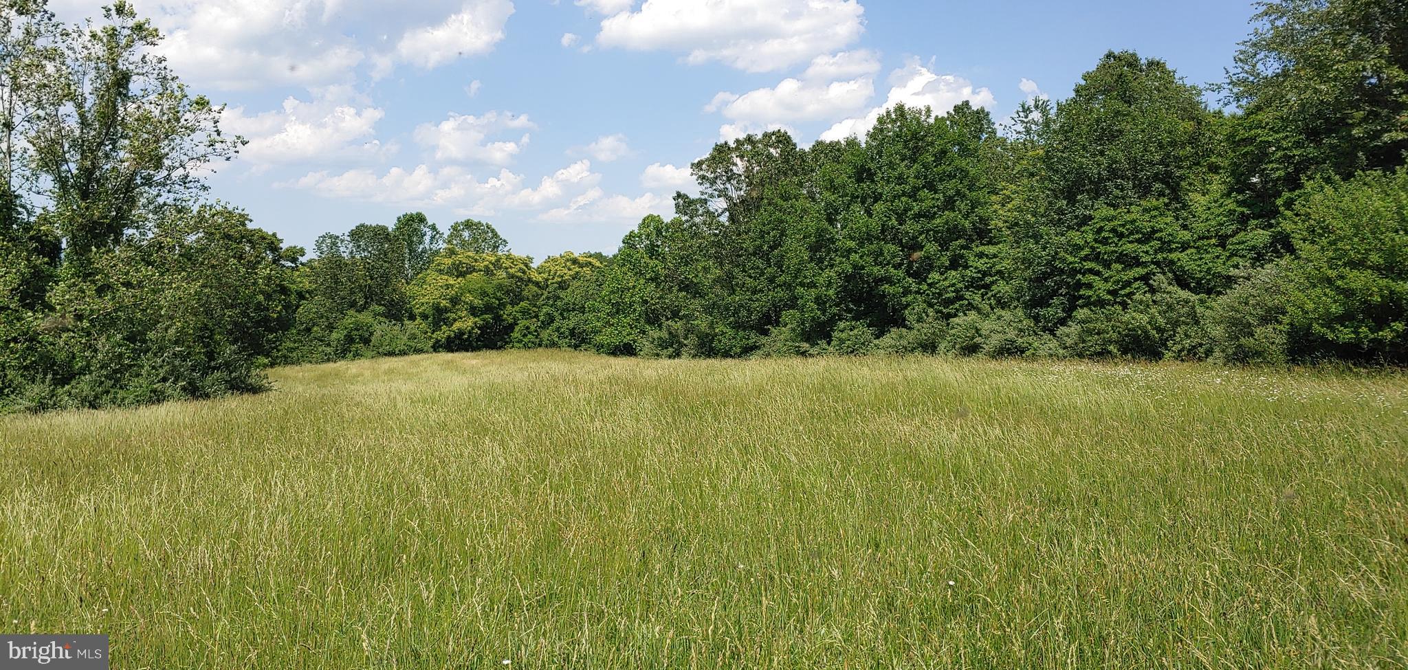 Carrington Road Markham, VA 22643 - Photo 4 of 6 Gallery Image 4