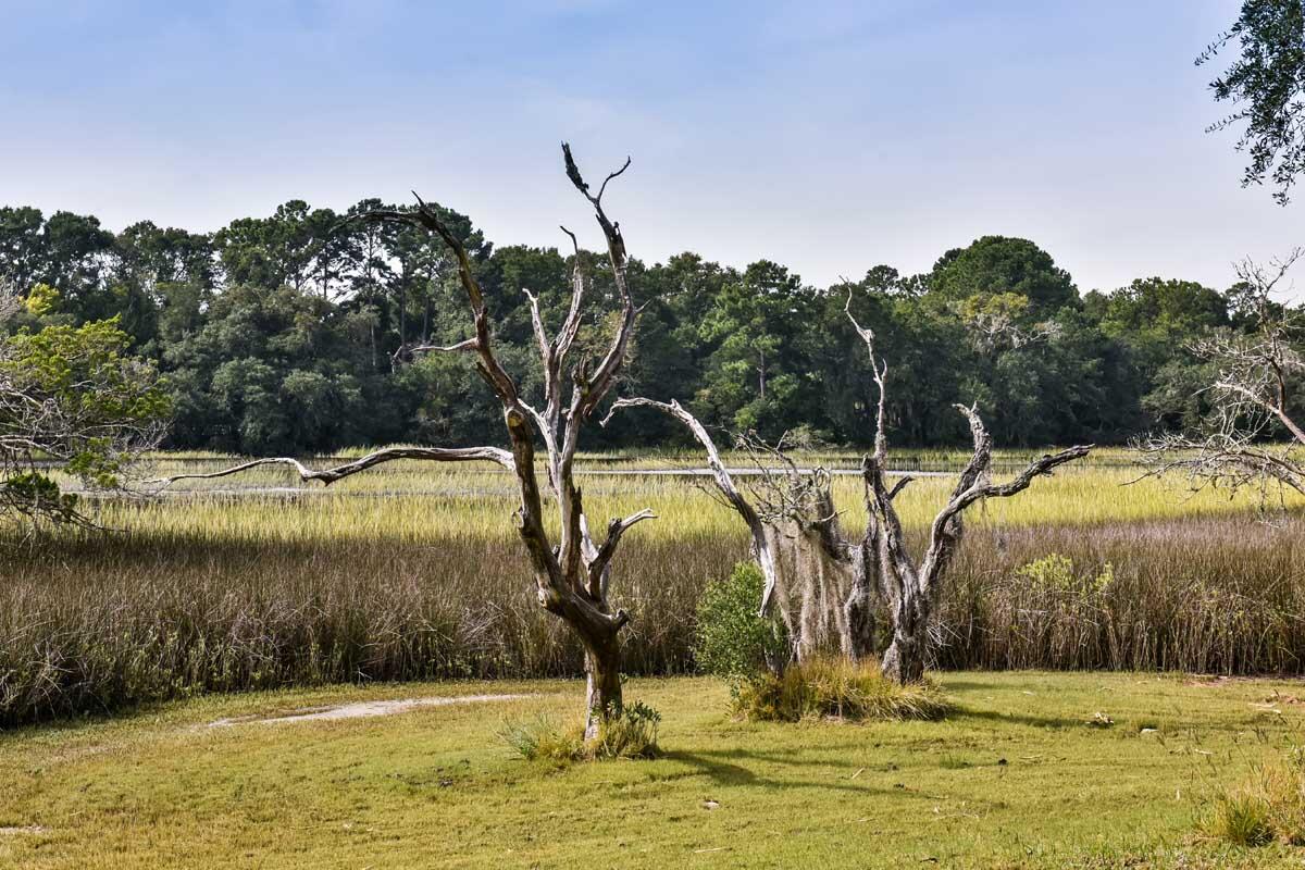 2569 Abbapoola Road Johns Island, SC 29455 - Photo 55 of 58 DSC_2220