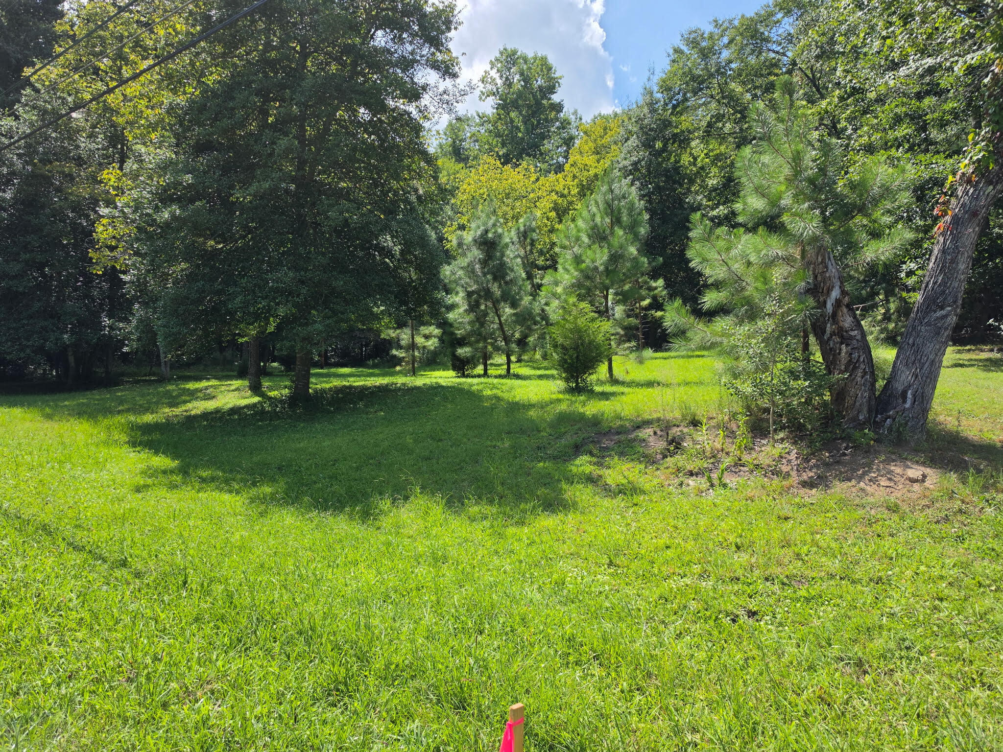 1013 Hotwater Road Soddy-Daisy, TN 37379 - Photo 1 of 14 Hotwater Rd