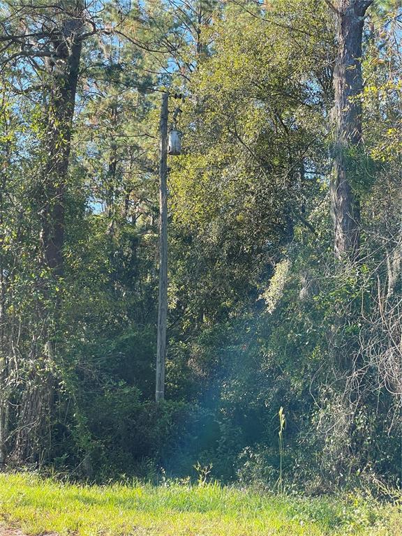 Tbd Southeast 5th Avenue Lake Butler, FL 32054 - Photo 11 of 26