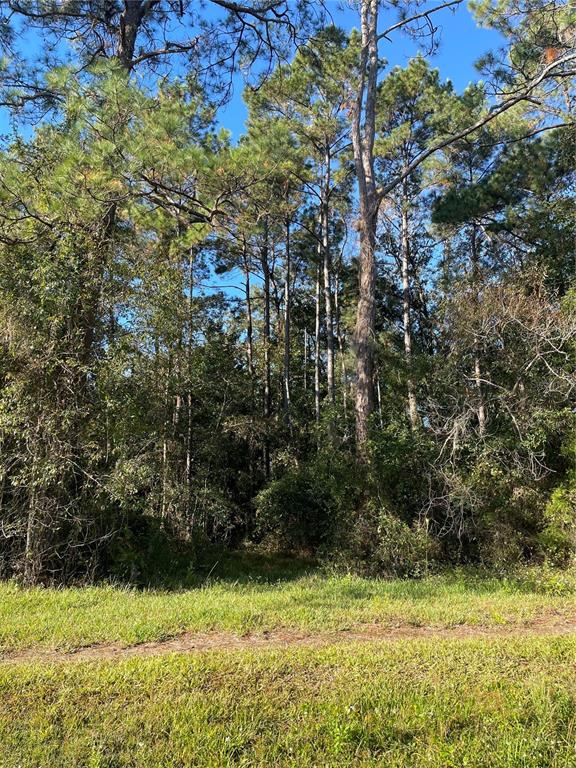 Tbd Southeast 5th Avenue Lake Butler, FL 32054 - Photo 12 of 26 a view of a yard with plants