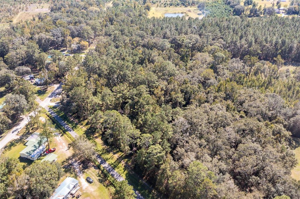 Tbd Southeast 5th Avenue Lake Butler, FL 32054 - Photo 23 of 26 a view of a tree in a field