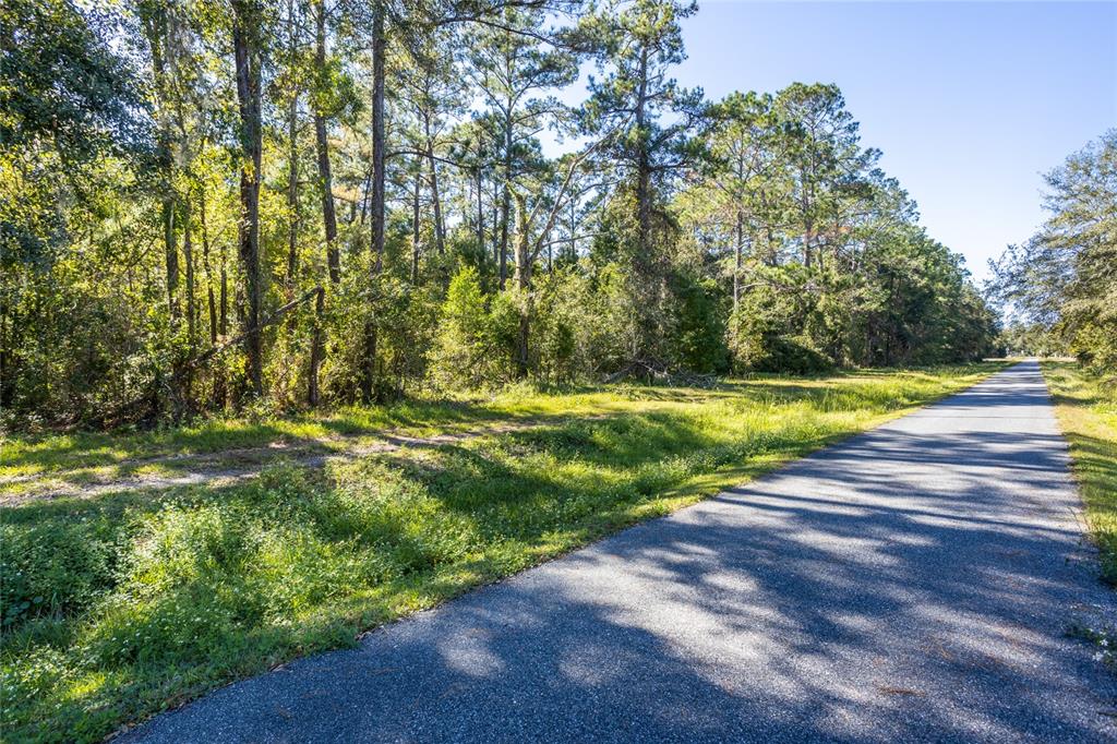 Tbd Southeast 5th Avenue Lake Butler, FL 32054 - Photo 4 of 26 a view of a yard with large trees