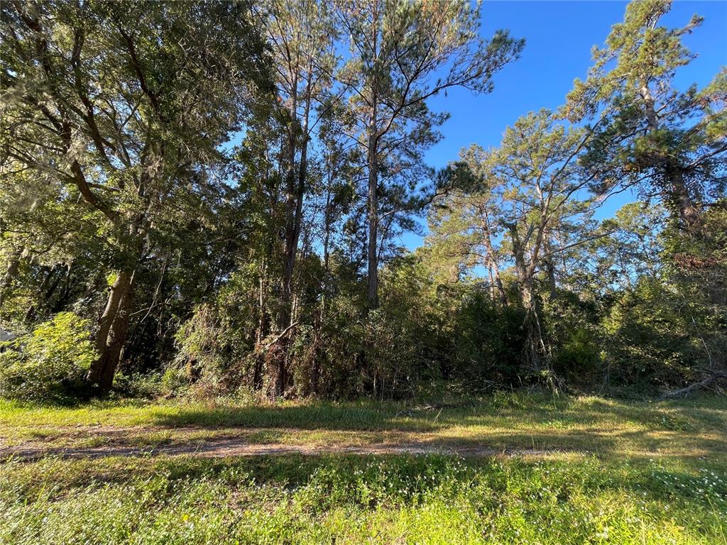 Tbd Southeast 5th Avenue Lake Butler, FL 32054 - Photo 9 of 26 a view of a yard