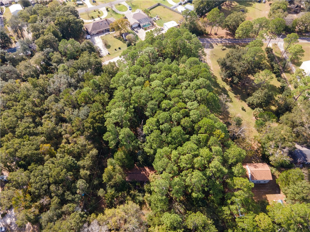 85012 Blackmon Road Yulee, FL 32097 - Photo 11 of 18 Gallery Image 11