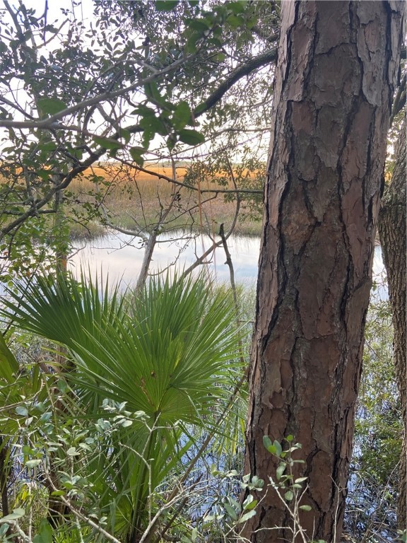 85012 Blackmon Road Yulee, FL 32097 - Photo 6 of 18 Gallery Image 6